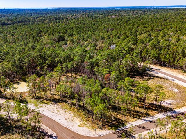 Land for sale in Polk, Texas