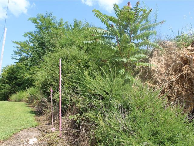 Land for sale in Ark