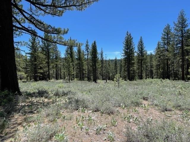 Land for sale in Sierraville, California