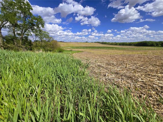 Land for sale in Allerton, Iowa