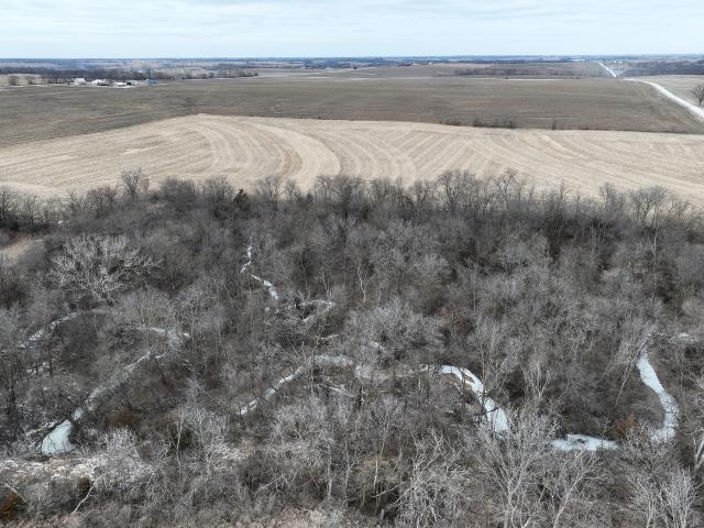 Land for sale in Albia, Monroe County