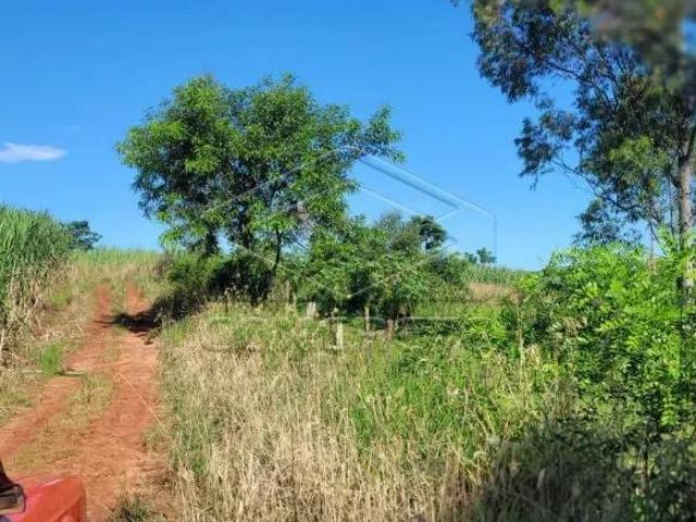 Sitio venda em Pederneiras, Jardim Sumaré