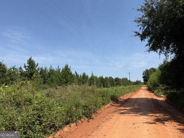 Land for sale in Stewart, Georgia