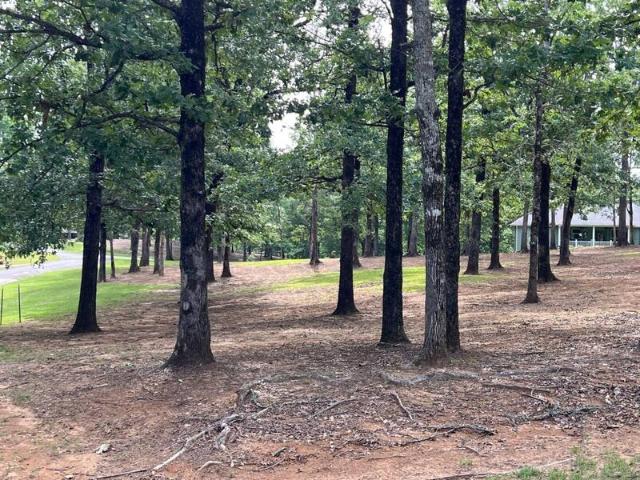 Land for sale in Many
