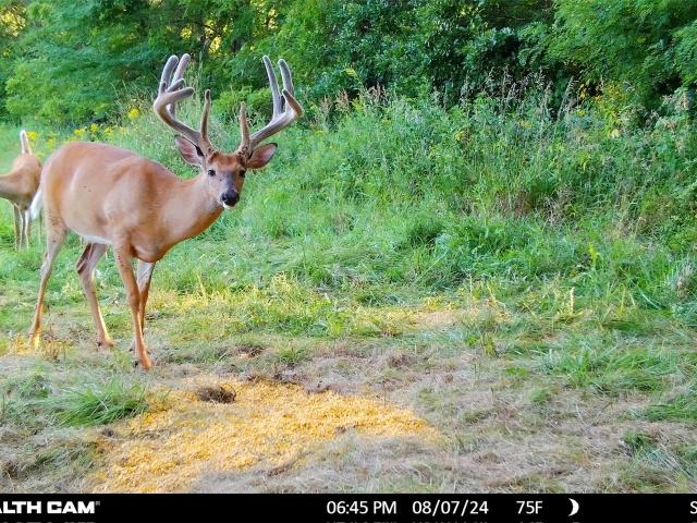 Land for sale in Grand River