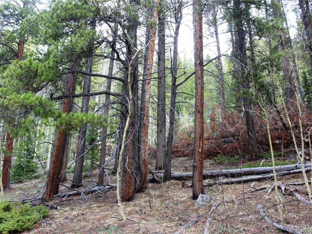 Land for sale in Black Hawk, Colorado