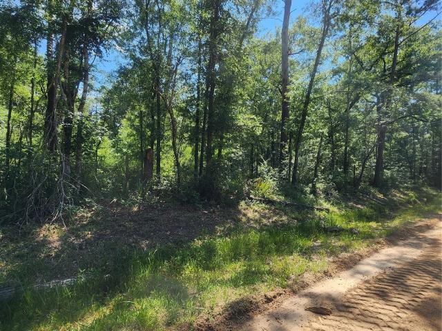 Land for sale in Shepherd, San Jacinto County