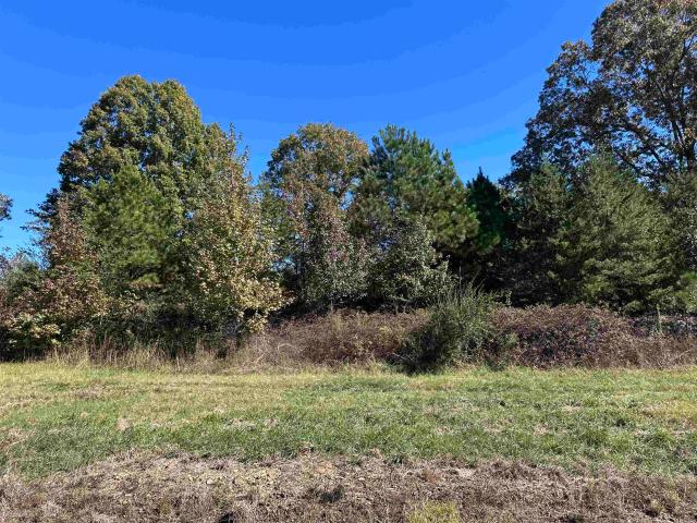 Land for sale in Haleyville, Alabama