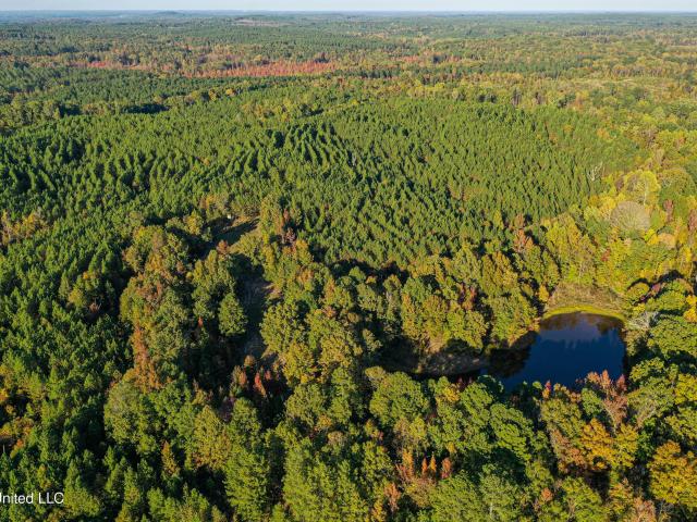 Land for sale in Pittsboro, Mississippi