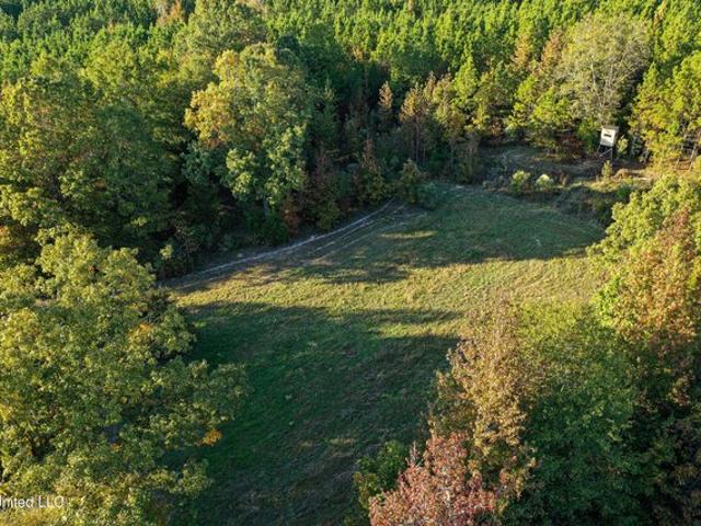 Land for sale in Pittsboro, Mississippi