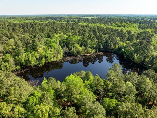 Land for sale in Camp, Texas