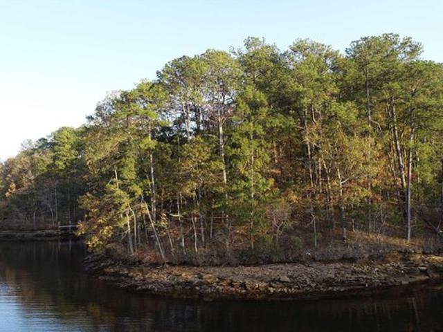 Land for sale in Wedowee, Alabama