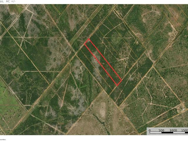 Land for sale in George West, Live Oak County