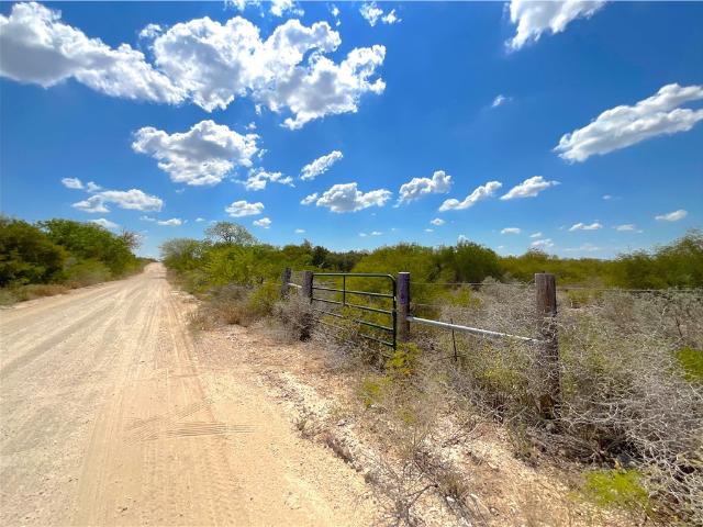 Land for sale in San Diego, Texas