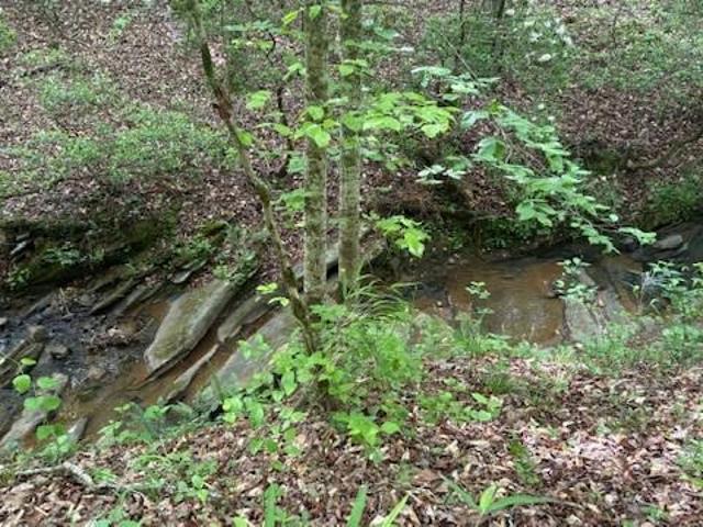 Land for sale in Pickens, Georgia
