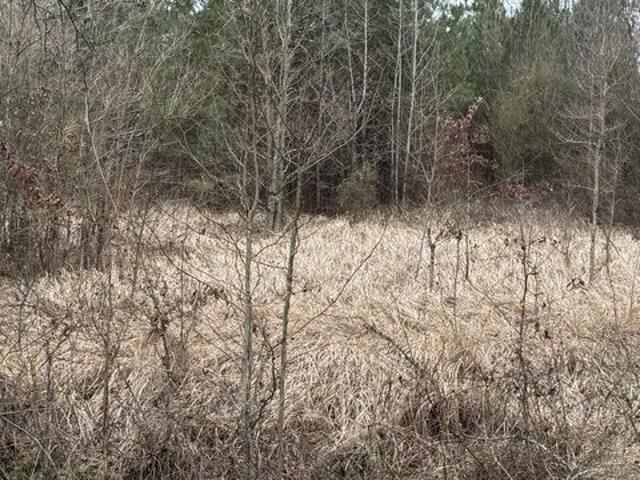 Land for sale in Forest, Mississippi