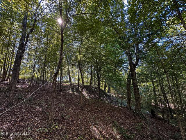 Land for sale in Calhoun County, Mississippi