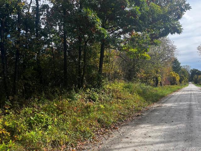 Land for sale in Capac, Saint Clair County