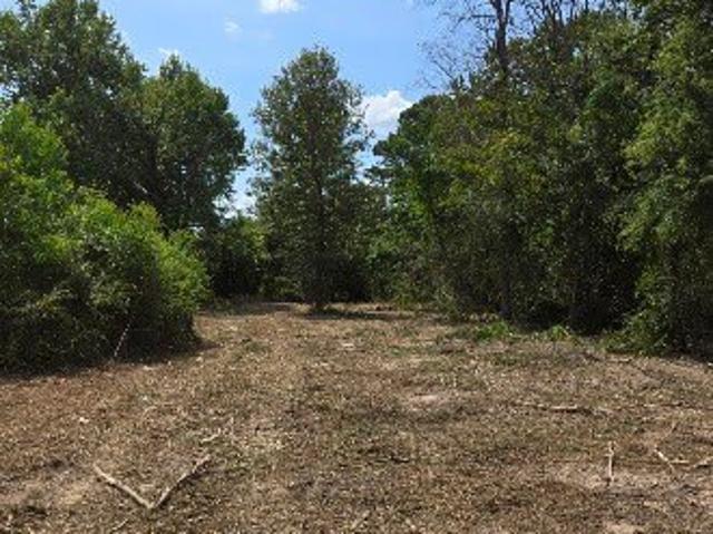 Land for sale in Springhill, Louisiana