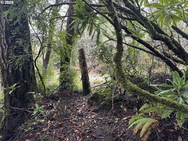 Land for sale in North Bend, Coos County