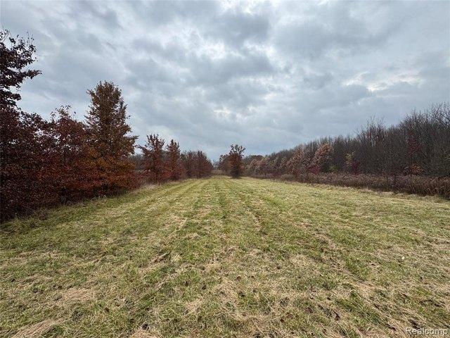 Condo for rent in Michigan