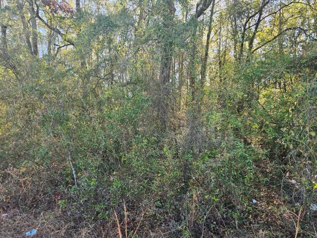 Land for sale in Waynesboro, Burke County