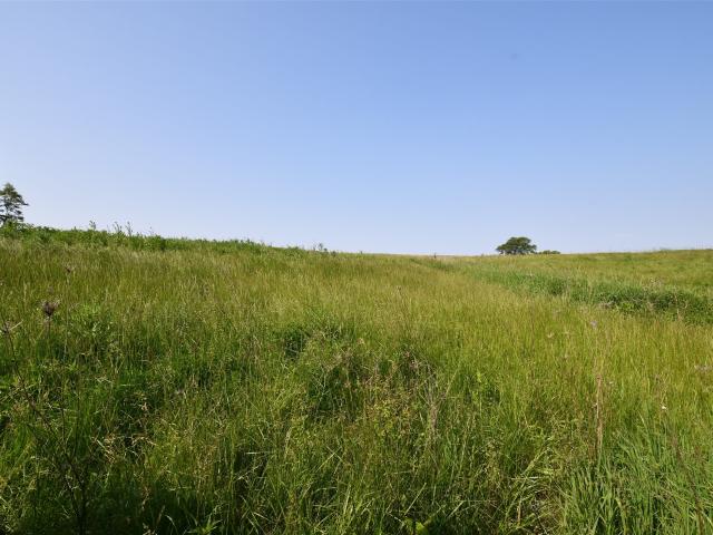 Land for sale in Carlisle, Iowa