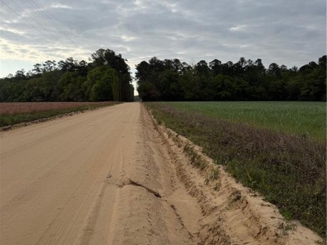 Land for sale in Springfield, Georgia