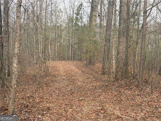 Land for sale in Pickens, Georgia