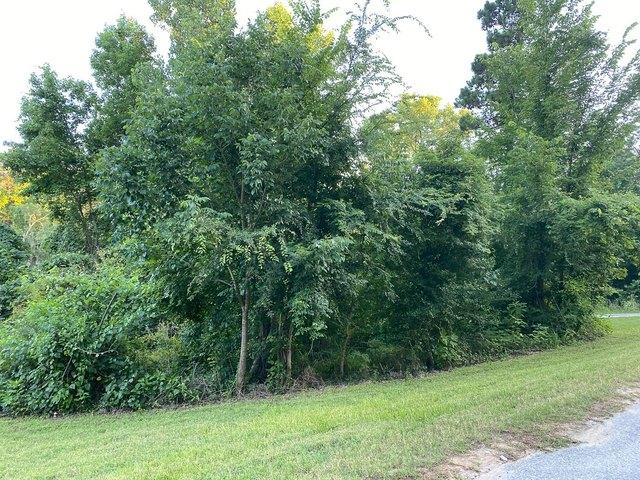 Land for sale in Oakhurst, Texas