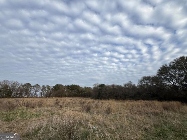 Land for sale in Elbert, Georgia