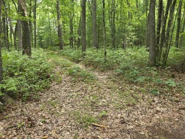 Land for sale in White Cloud, Michigan