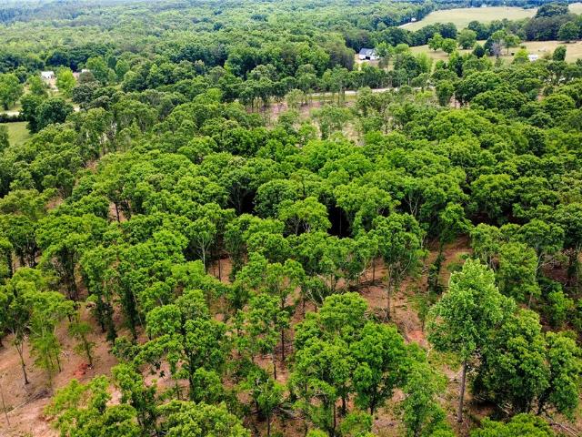 Land for sale in Iva, South Carolina