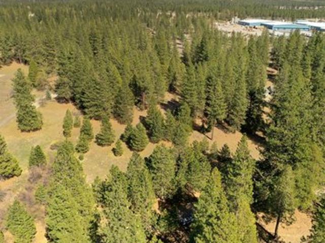 Land for sale in Weed, California