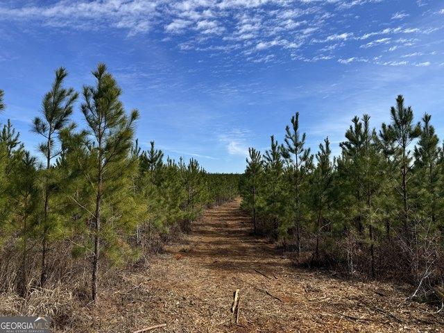 Land for sale in Schley, Georgia