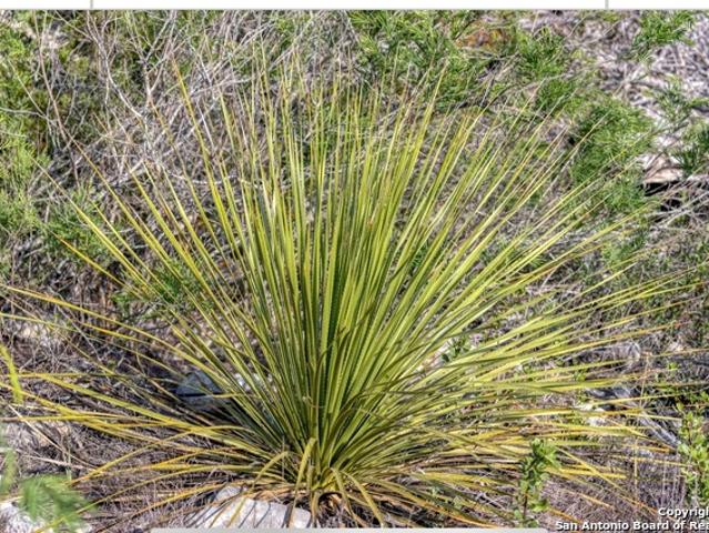 Land for sale in Kinney, Texas