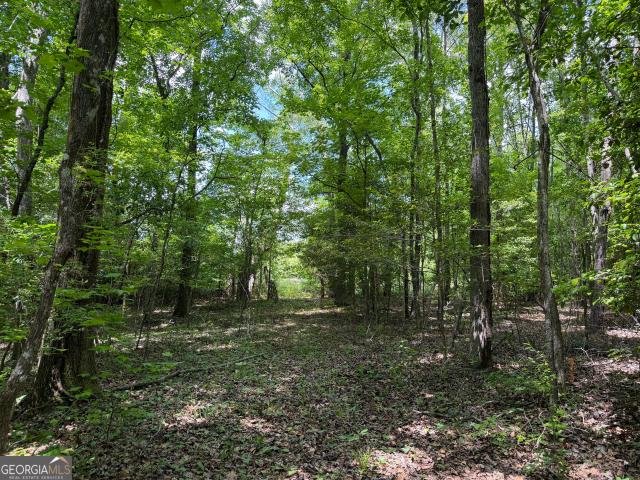 Land for sale in Wilkinson, Georgia