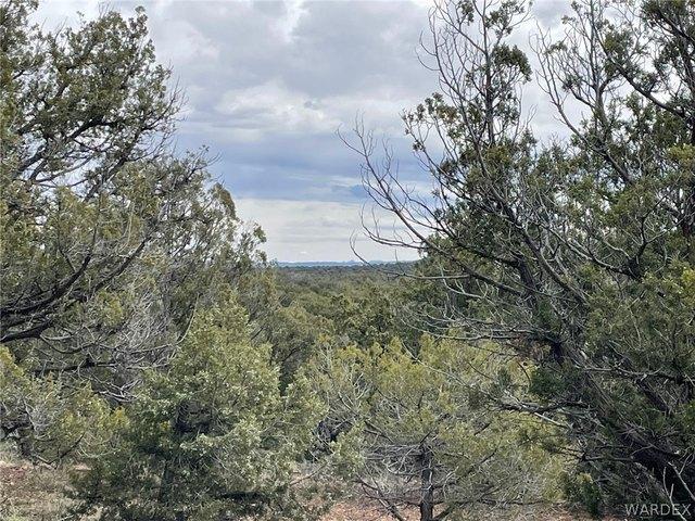 Land for sale in Kingman, Arizona