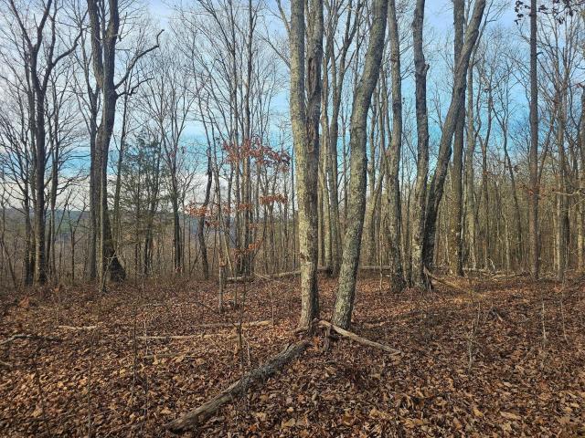 Ranch for sale in Tennessee
