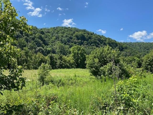 Land for sale in Tennessee