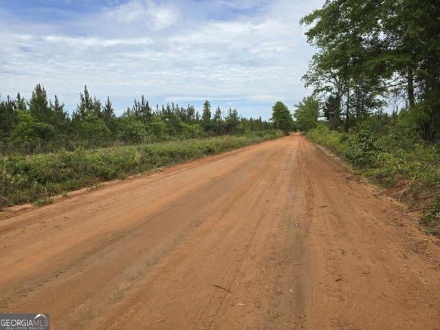 Land for sale in Schley, Georgia