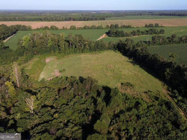 Land for sale in Sylvania, Screven County
