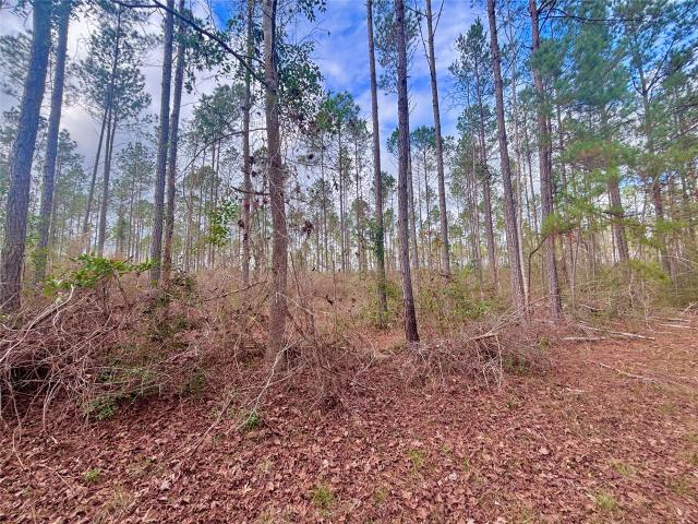 Land for sale in Jasper, Texas