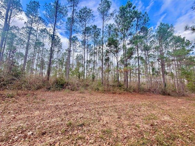 Land for sale in Jasper, Texas
