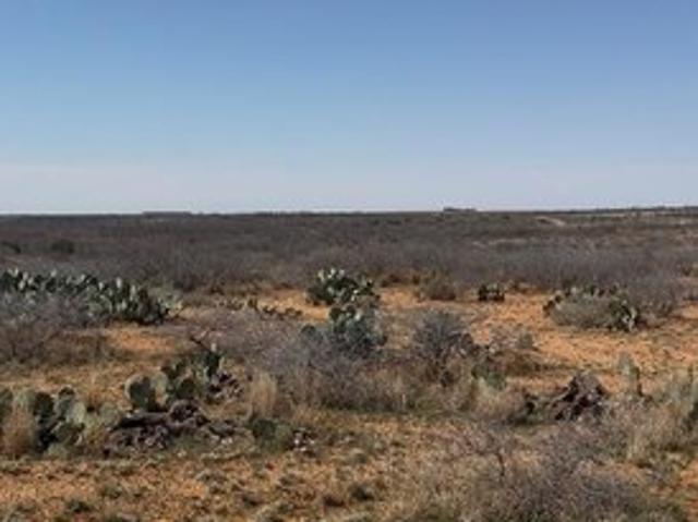 Land for sale in Colorado City, Texas