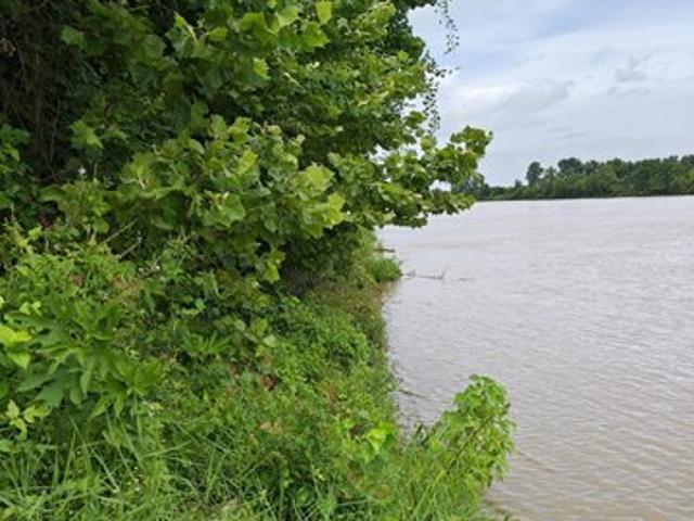 Land for sale in Marksville, Louisiana