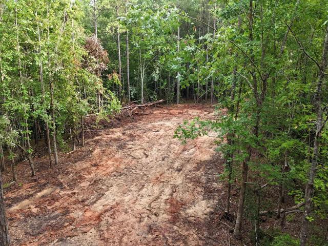 Land for sale in Union, South Carolina