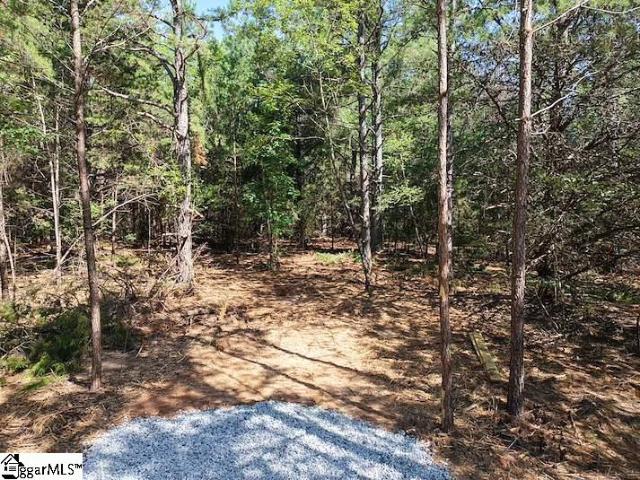 Land for sale in Laurens, South Carolina