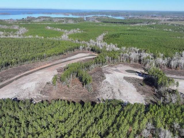Land for sale in Florien, Louisiana
