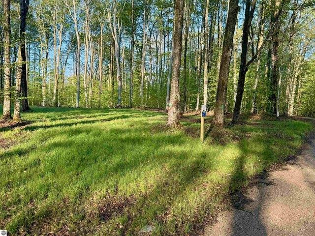 Land for sale in Maple City, Michigan